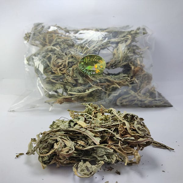 عشبة الهندبة البرية