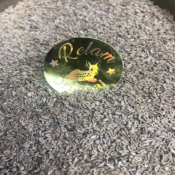 الرئيسية 123 بذر قطونة