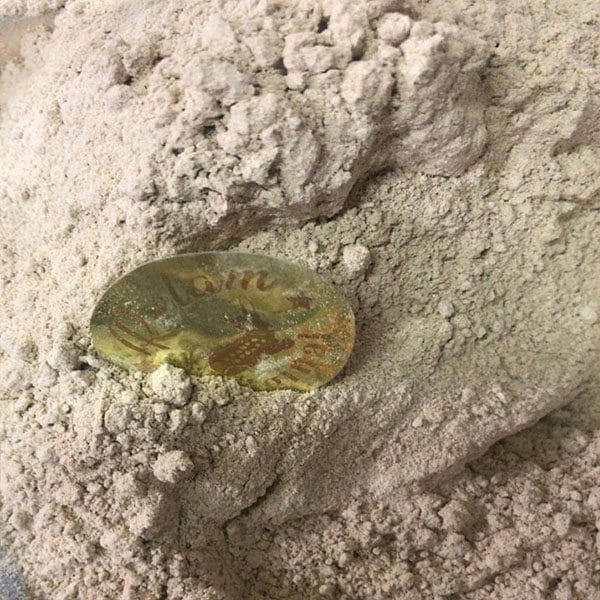 الرئيسية 131 ثومة ناعمة