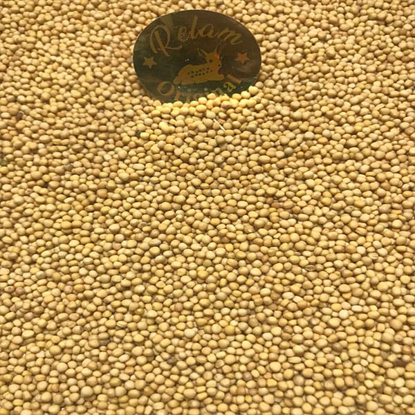 بذر خردل اصفر