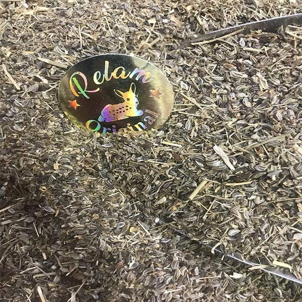 بذر السيكران