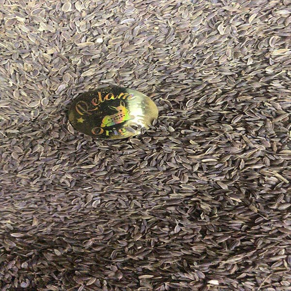 عين جرادة حب