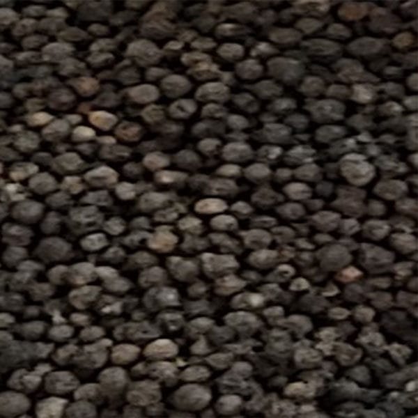 فلفل اسود حب