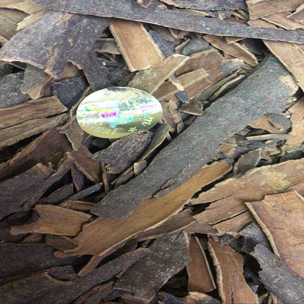 الرئيسية 117 قرفة عيدان