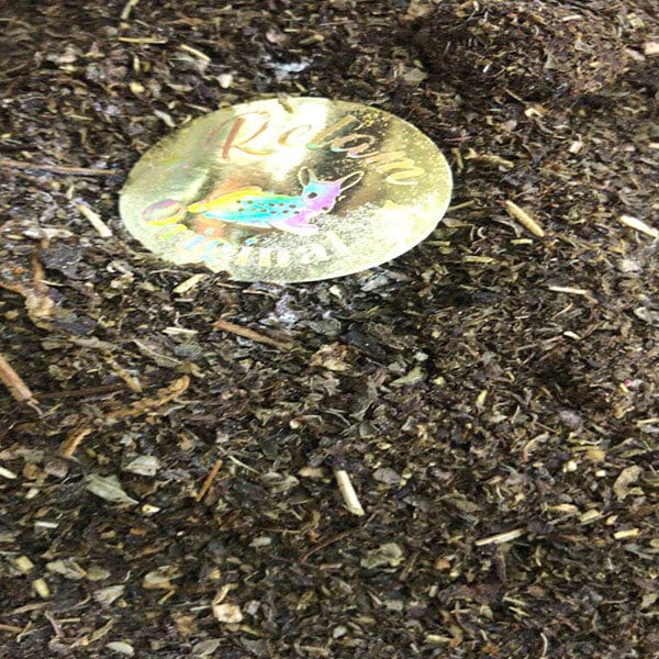 الرئيسية 139 يالنجي