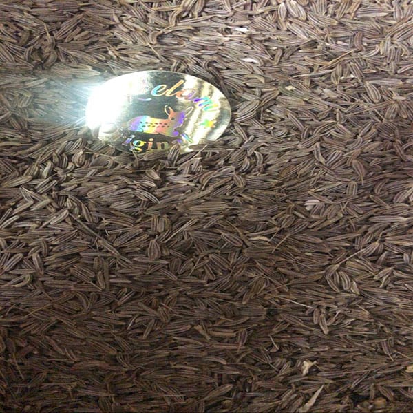 كراوية حب 1 كراوية حب